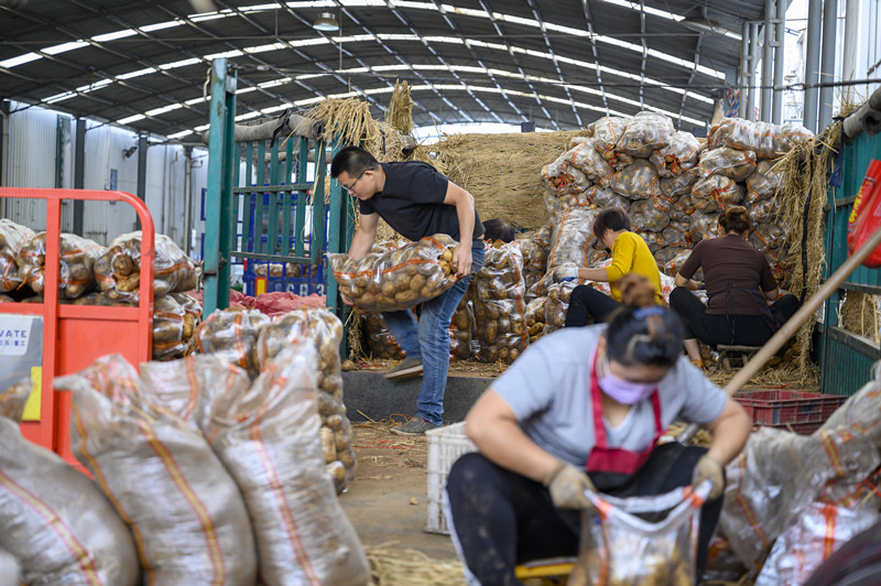 1571447901675793.jpg 1571447901675793.jpg