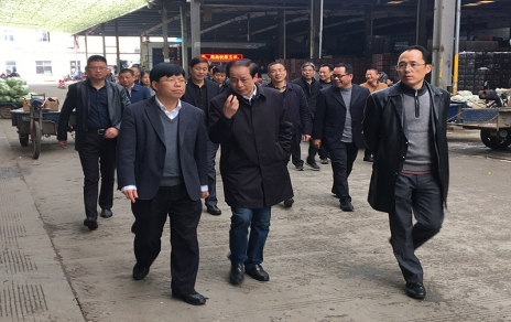 2017年3月16日下午，嘉興市委常委、常務(wù)副市長(cháng)樓建明帶領(lǐng)市級相關(guān)部門(mén)負責人視察嘉興蔬菜批發(fā)市場(chǎng)