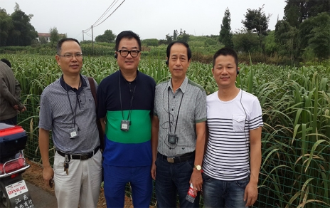 2014年8月，中國蔬菜流通協(xié)會(huì )會(huì )長(cháng)戴中久與公司、市場(chǎng)領(lǐng)導一起考察蔬菜基地