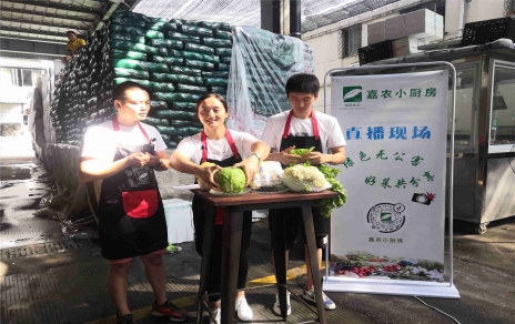 創(chuàng  )意直播帶貨,本期專(zhuān)欄：蘭州高原夏菜！