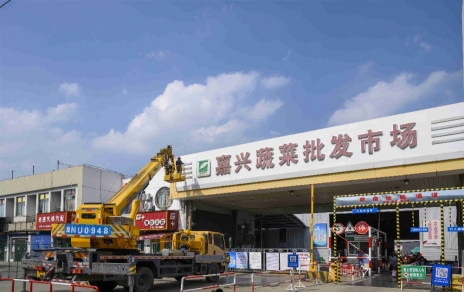 進(jìn)無(wú)止境，“嘉農?蔬菜人”