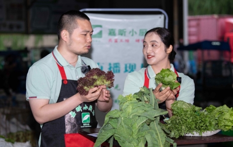 千金如玉，一口清心--生菜?油麥菜?萵筍直播專(zhuān)場(chǎng)